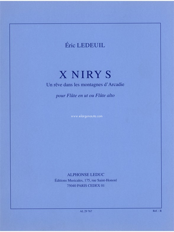 X Niry S, Flute/Recorder